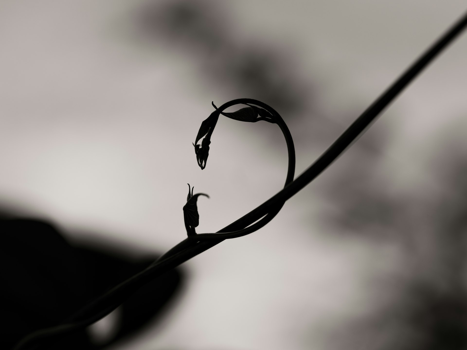 Client Feedback and Scope Creep: How to Protect Your Agency's Margins