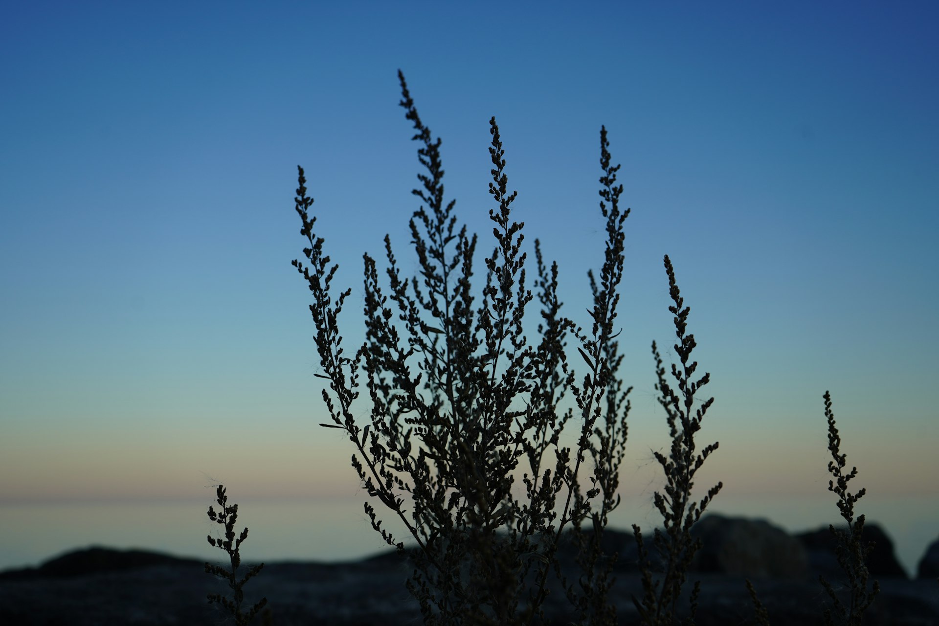 Growing agency: when and how to structure your processes